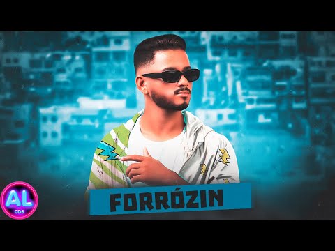 FORRÓZIN DO TIK TOK 2K24 - 2 MÚSICAS NOVAS TOP PRA TOCAR NO PAREDÃO - DJ MELK