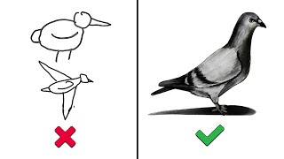 اساسيات الرسم الهندسي للمبتدئين تحميل اغاني مجانا