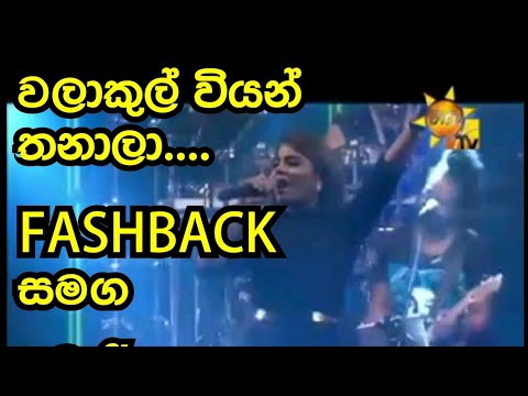 ❤️❤️❤️❤️වලාකුල් වියන් තනාලා.❤️❤️❤️❤️..කොහොමද flashback බැකින්