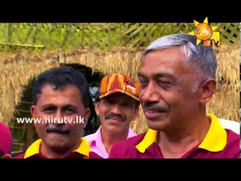 Hiru TV