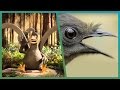 Lyrebird Meets Attenborough ft. Aardman Animations #Attenborough90 | BBC Earth Unplugged