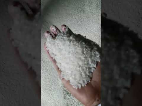 Non Basmati Idli Rice, Packaging Type: PP Bag, 25 kg