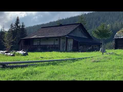 Bucovina plai cu flori