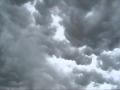 Kathryn Burke sings "Panis Angelicus"
