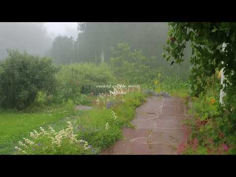 summer rain & soft melodies