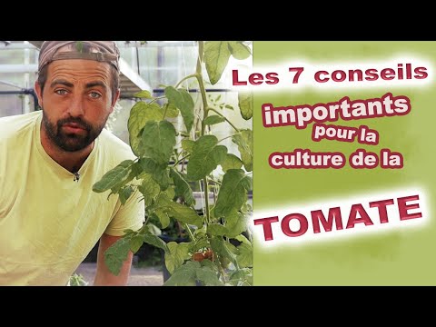 , title : '🍅 7 Conseils  ❗Importants❗ pour  produire des Tomates 🍅'