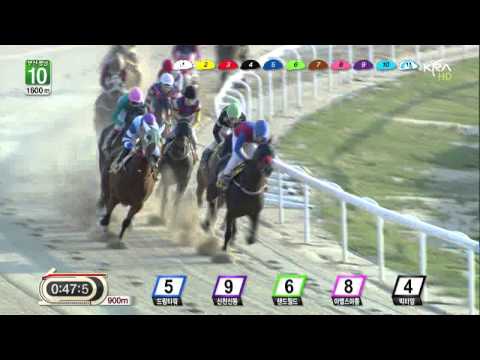 Dead Heat - Darryll Holland - Busan April 26