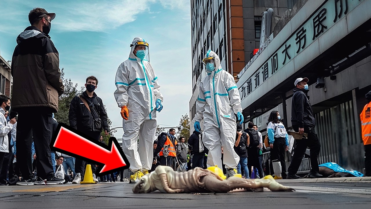 A BÍBLIA PREVIU ISSO E É ASSUSTADOR!