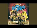 Bumble Bees (Hampenberg's Pop Mix)