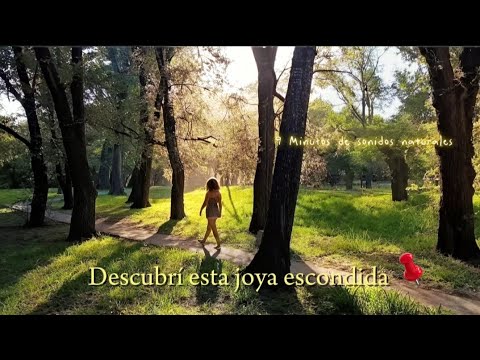 9 minutos de paz en un pueblito de Argentina | ASMR natural 