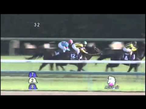 スプリンターズステークス2013