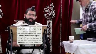 זבחים דף קי"ט ע"א ¤ הרב נתנאל אברז'ל ¤ בית הכנסת "בית מרדכי" (מוסדות תורת דוד) - התמונה מוצגת ישירות מתוך אתר האינטרנט יוטיוב. זכויות היוצרים בתמונה שייכות ליוצרה. קישור קרדיט למקור התוכן נמצא בתוך דף הסרטון