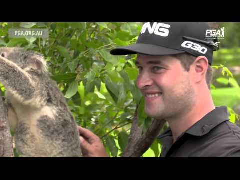Players meeting the local wildlife at the Australian PGA Championship