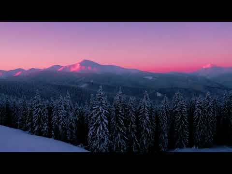 Frații Bragari - Prințul Sfânt (video)