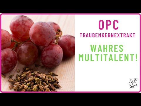 ✅OPC TRAUBENKERNEXTRAKT EIN WAHRES MULTITALENT✅ 5 Wirkungen, die du kennen solltest!