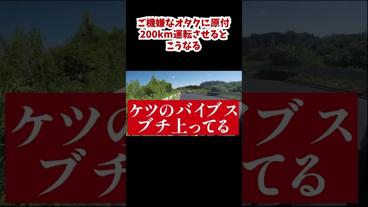 ご機嫌なオタクがスーパーカブで200km走るとこうなる