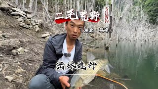 挑战一分钱不花游钓全国第7天 在这种全是障碍物的局限钓位溜大鱼 真的是惊险又刺激啊