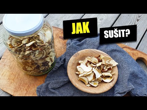 Jak správně sušit houby v sušičce? Krok za krokem.