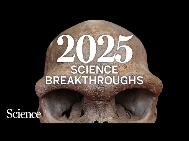 The Biggest Science Breakthroughs of 2025 Highlight Renewable Energy ...