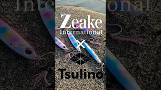 Zeake R-サーディン　マイスターカラー登場✨青物、フラット、アジ釣れてます👍