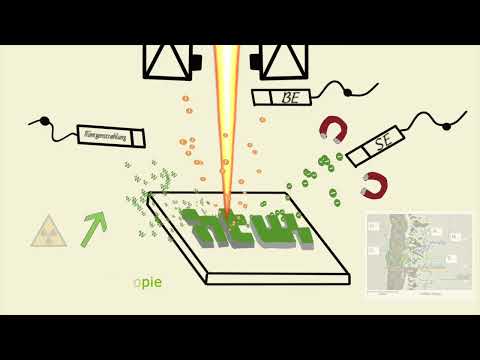 REM, Teil 1 Aufbau und theoretischer Hintergrund
