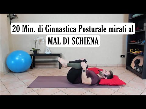 20 MINUTES OF POSTURAL GYMNASTICS FOR BACK PAIN.