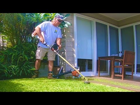 YouTube video about: How to mow the lawn without a mower?