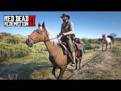 VIDA DE FAZENDEIRO - Voltando com os CAVALOS para casa e Caçando o COIOTE LENDÁRIO