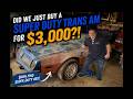 We Bought a $3,000 Trans Am... Is It REALLY a Super Duty?