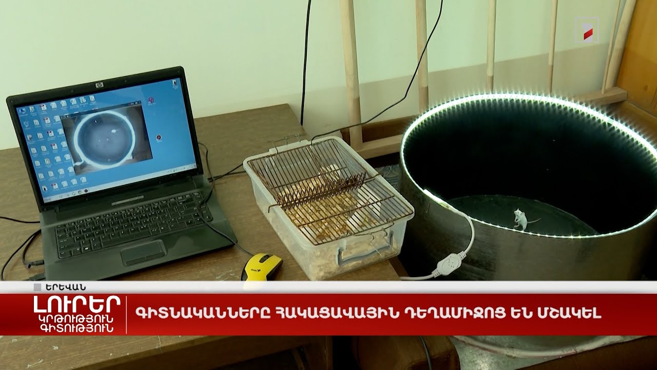 Գիտնականները հակացավային դեղամիջոց են մշակել