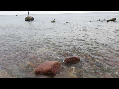 Steine in der Ostsee | Sellin auf Rügen