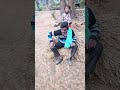 Ati Hai T Chal