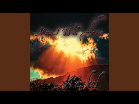 Psalm 11: I Take Refuge