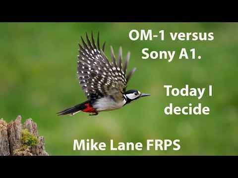 OM-1 or the Sony A1. Today I decide.