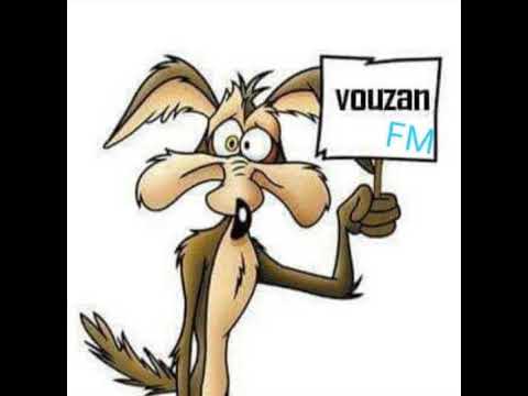 Radiovouzan