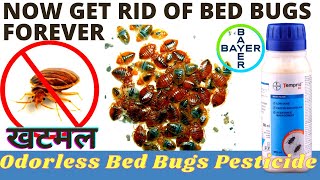 Bed bugs Treatment | खटमल ख़तम करने का सही तरीका | Khatmal control treatment | bed bugs control