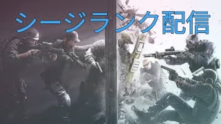 お久しぶりシージ