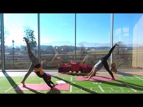 PSOAS SEQUENZ YOGA mit Stephanie & Alina - ONLINE YOGA - ONLINE KURSE