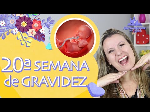 20TH WEEK OF PREGNANCY | Symptoms, Your Body, Baby Size | 2nd QUARTER OF PREGNANCY