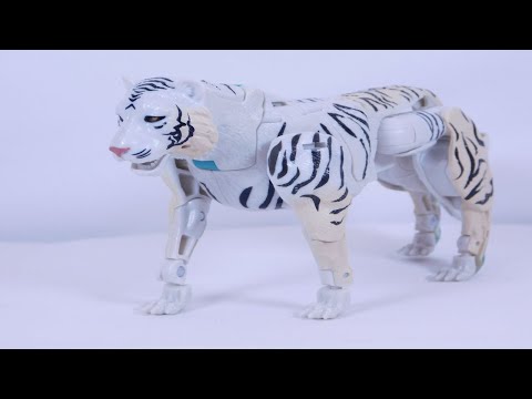 Transformers Kingdom Tigatron Stop Motion