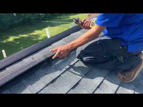 Excluding Nuisance Bats From the Ridge Vents in Tuckerton, NJ