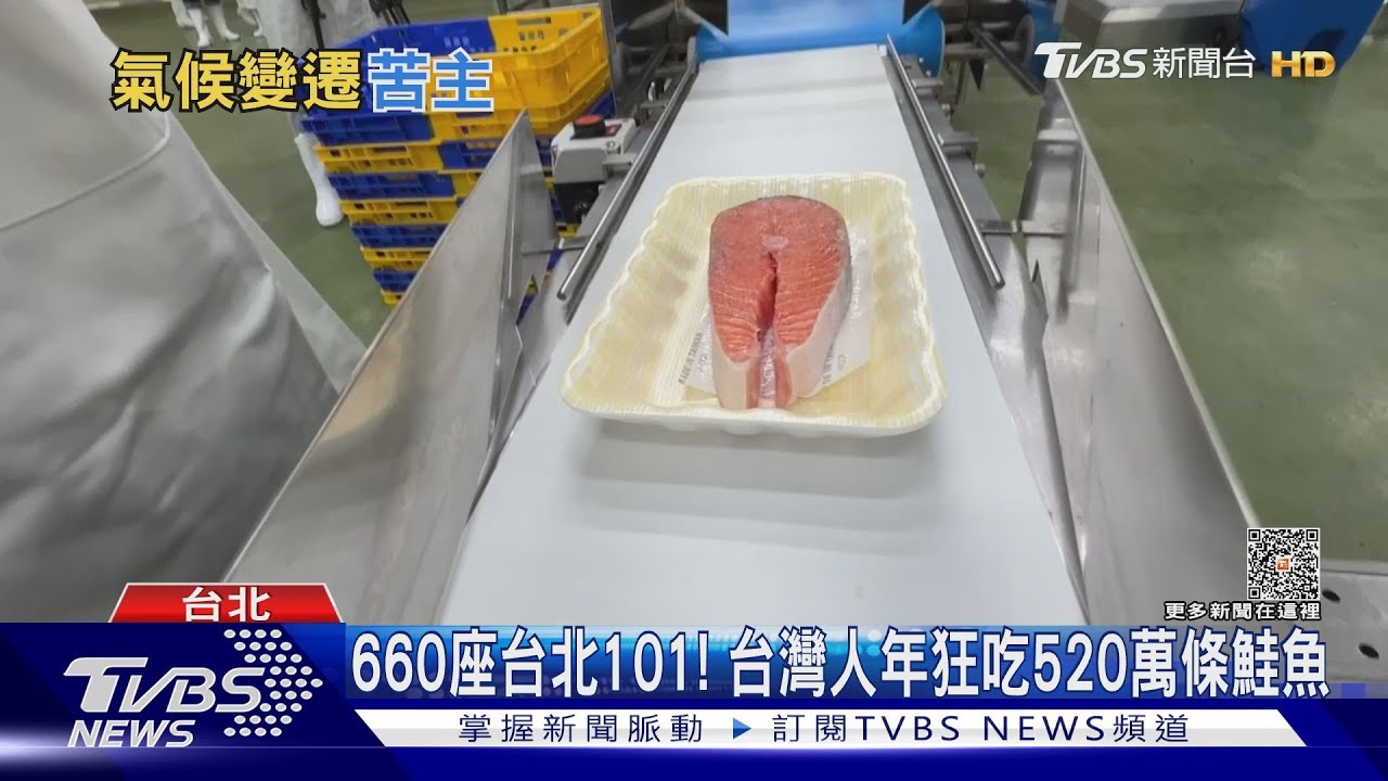 未來恐難吃到鮭魚? 專家:溫室效應正使魚群北移