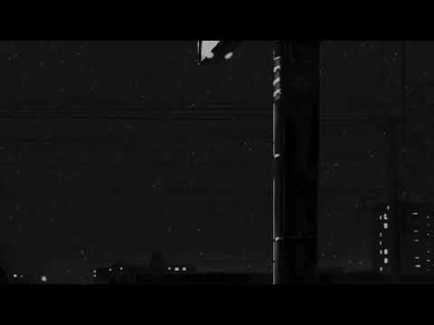 CHERIIMOYA - SHOULD BE WISER (Slowed + Reverb/Jimmy Neutron Mix)