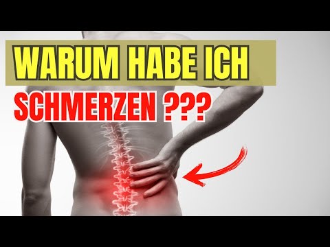 Warum habe ich Bewegungsprobleme? Schmerzen? Verspannungen?  Eine neue Perspektive auf Bewegung