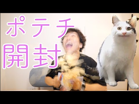 download lagu mp3 mp4 龍太郎, download lagu 龍太郎 gratis, unduh video klip 龍太郎