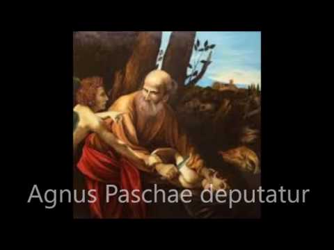 download lagu mp3 mp4 Ecce Panis Angelorum Testo Italiano, download lagu Ecce Panis Angelorum Testo Italiano gratis, unduh video klip Download Ecce Panis Angelorum Testo Italiano Mp3 dan Mp4 Free All Gratis