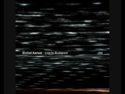 Eivind Aarset - Live in Budapest 2014 [Live Recording]