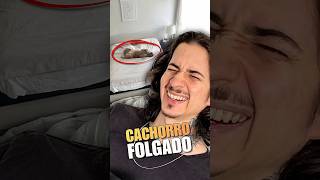É MUITA FOLGA!