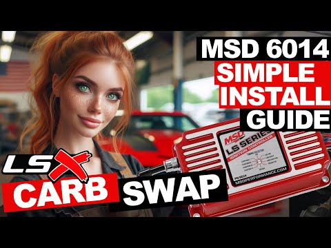 You can do it! Carb your LS with an MSD 6014 or 60143