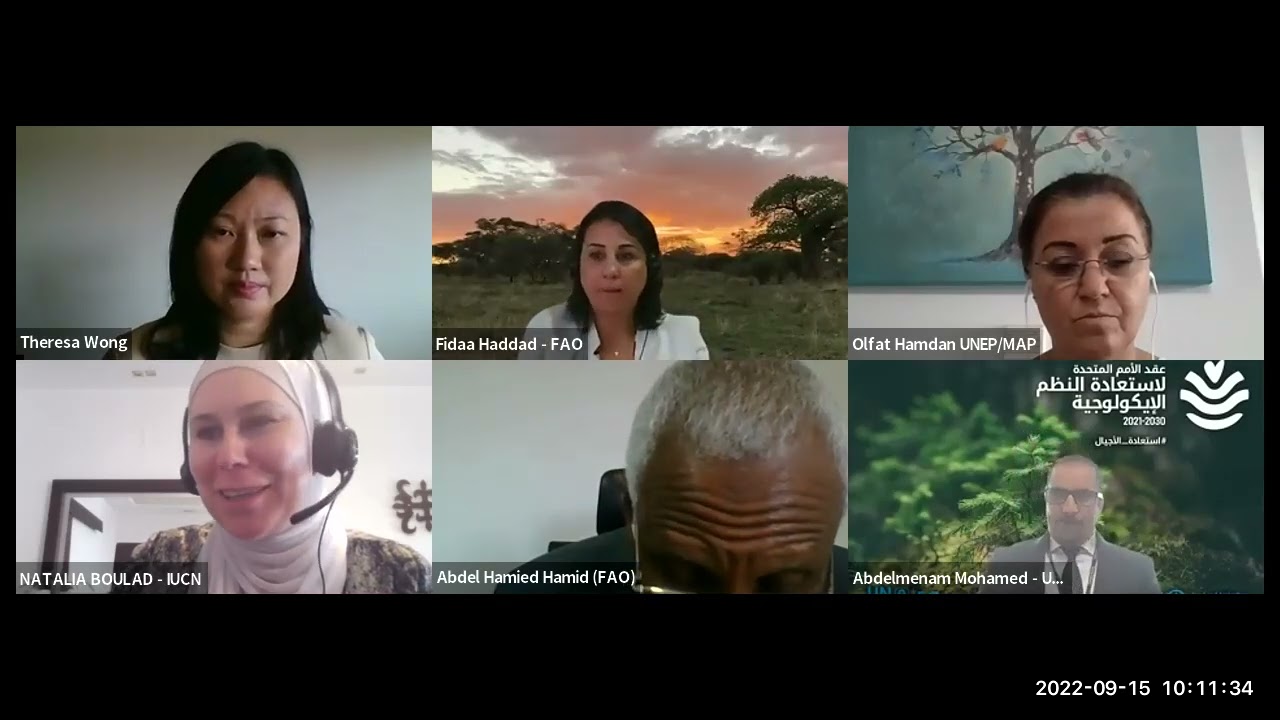 Addressing Climate Change Through Ecosystems-Based Adaptation - webinar 4